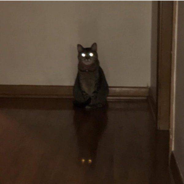 daily picdump 95 pics 38.html - 95 HD Photos | Premium Gallery 2017