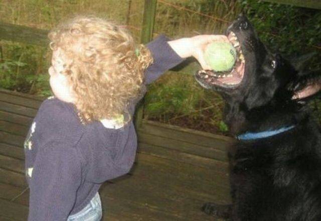 daily picdump 95 pics 38.html - 95 HD Photos | Premium Gallery 2017