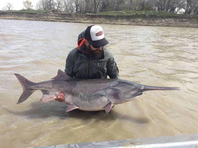 daily picdump 95 pics 38.html - 95 HD Photos | Premium Gallery 2017