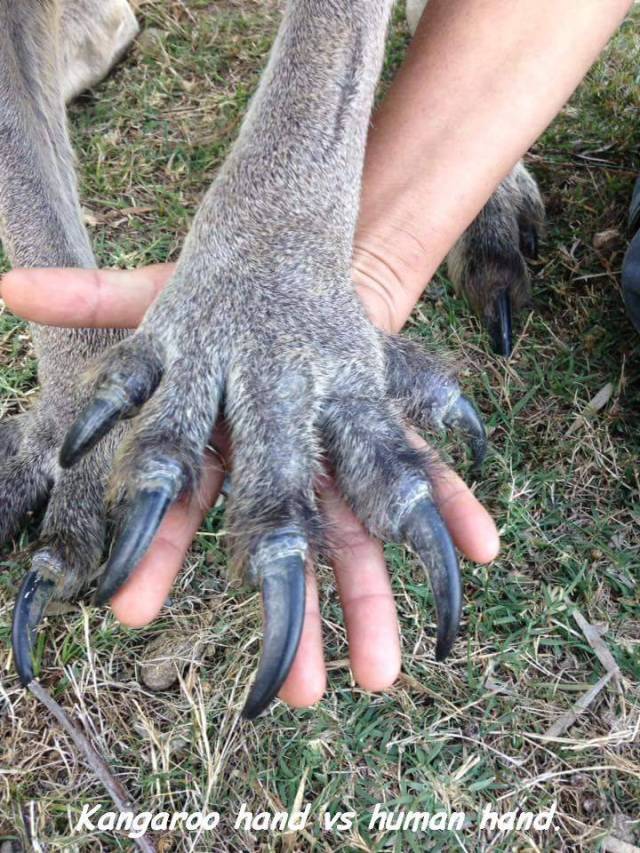 daily picdump 95 pics 38.html - 95 HD Photos | Premium Gallery 2017