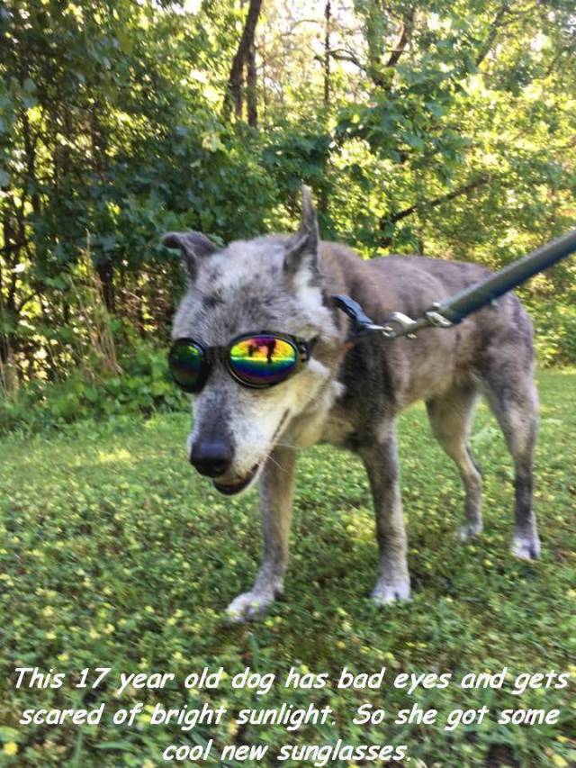 daily picdump 95 pics 38.html - 95 HD Photos | Premium Gallery 2017