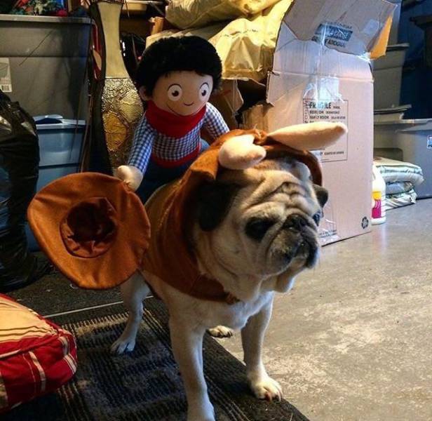 morning picdump 53 pics 20.html - 53 HD Photos | Premium Gallery 2017