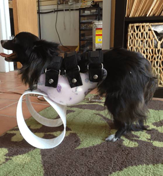 morning picdump 53 pics 20.html - 53 HD Photos | Premium Gallery 2017