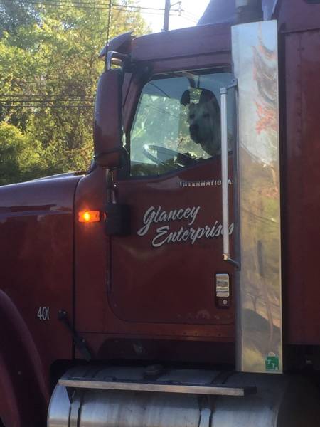 daily picdump 101 pics 33.html - 101 HD Photos | Premium Gallery 2017