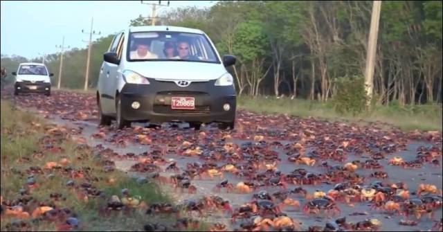 daily picdump 101 pics 33.html - 101 HD Photos | Premium Gallery 2017