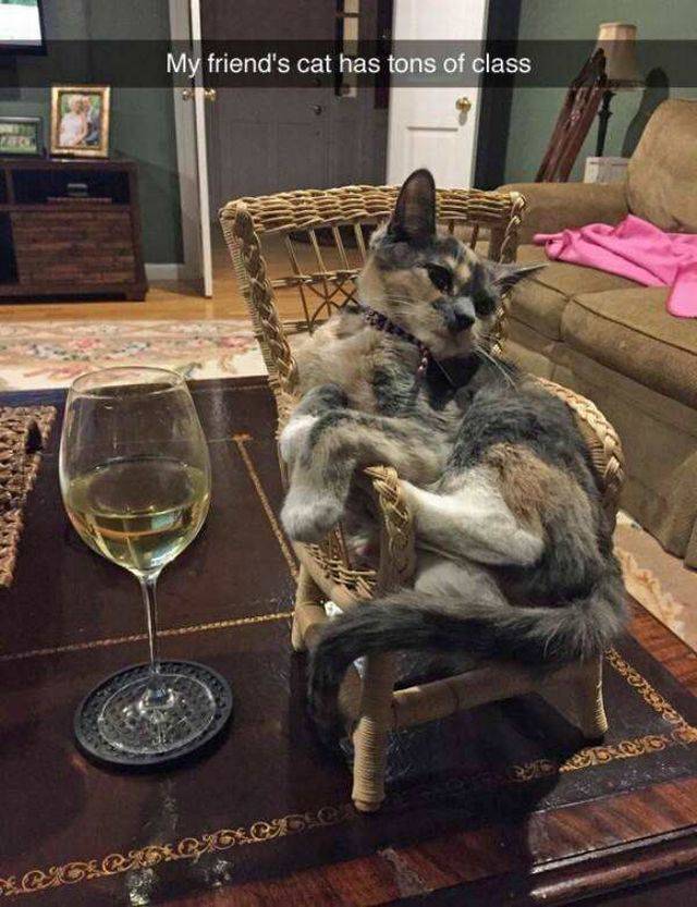 daily picdump 101 pics 33.html - 101 HD Photos | Premium Gallery 2017