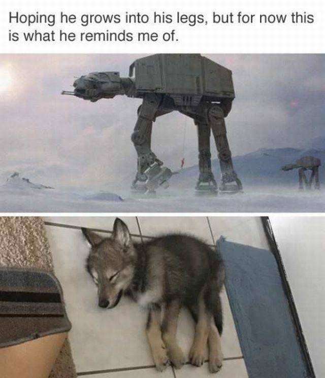 daily picdump 101 pics 33.html - 101 HD Photos | Premium Gallery 2017