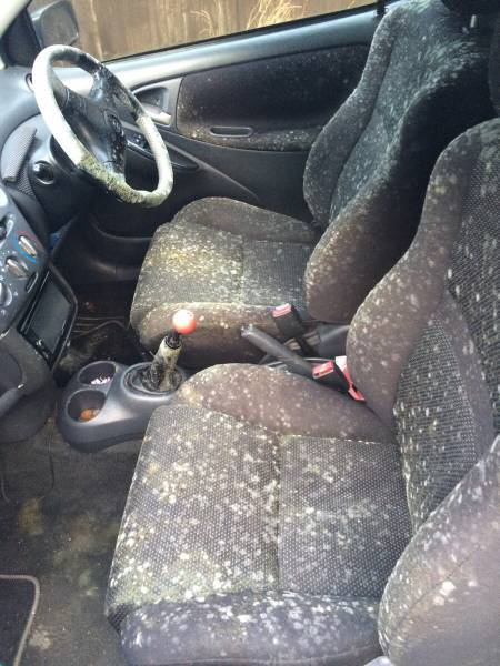 morning picdump 53 pics 17.html - 53 HD Photos | Premium Gallery 2017