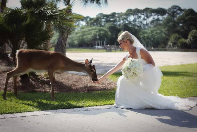 morning picdump 53 pics 17.html - 53 HD Photos | Premium Gallery 2017