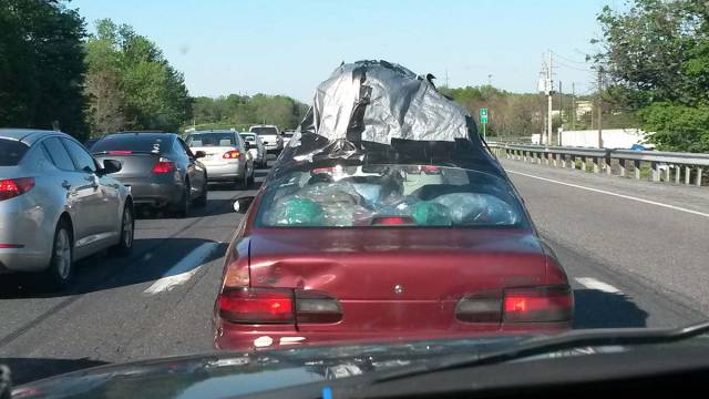 morning picdump 53 pics 17.html - 53 HD Photos | Premium Gallery 2017