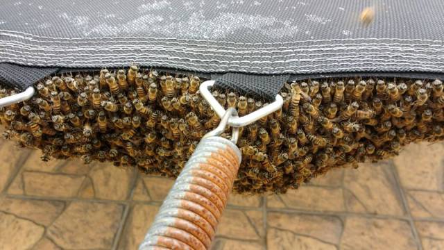 daily picdump 103 pics 18.html - 103 HD Photos | Premium Gallery 2017