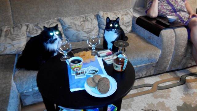 daily picdump 103 pics 18.html - 103 HD Photos | Premium Gallery 2017