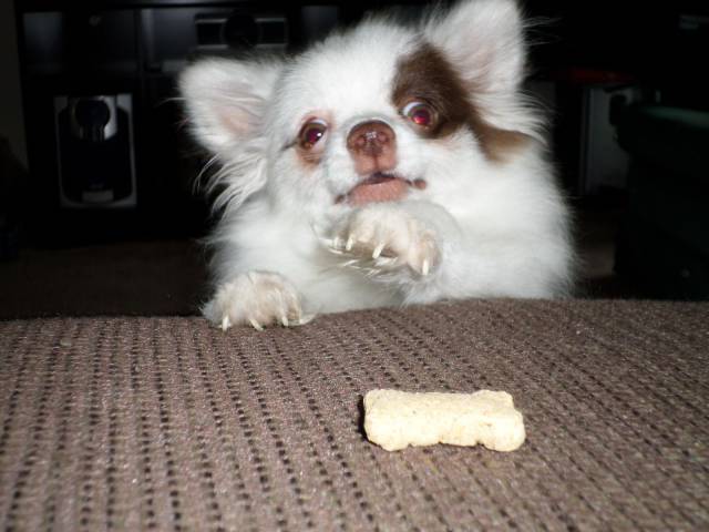 daily picdump 103 pics 18.html - 103 HD Photos | Premium Gallery 2017