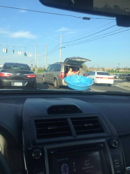 daily picdump 103 pics 18.html - 103 HD Photos | Premium Gallery 2017