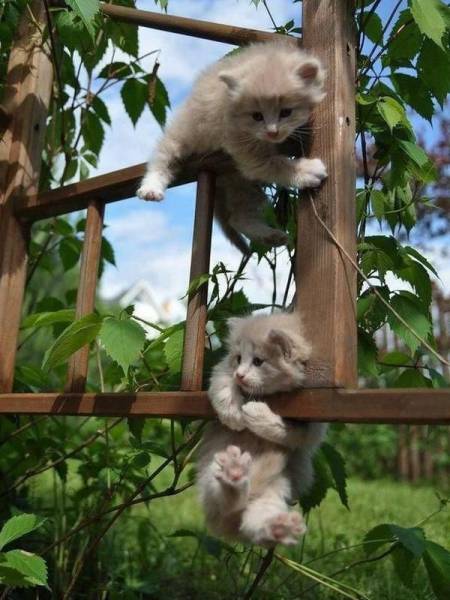 daily picdump 103 pics 18.html - 103 HD Photos | Premium Gallery 2017