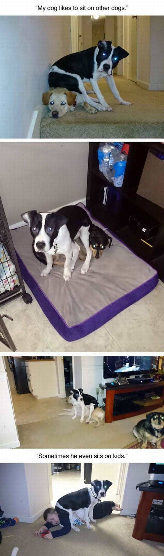 daily picdump 103 pics 18.html - 103 HD Photos | Premium Gallery 2017