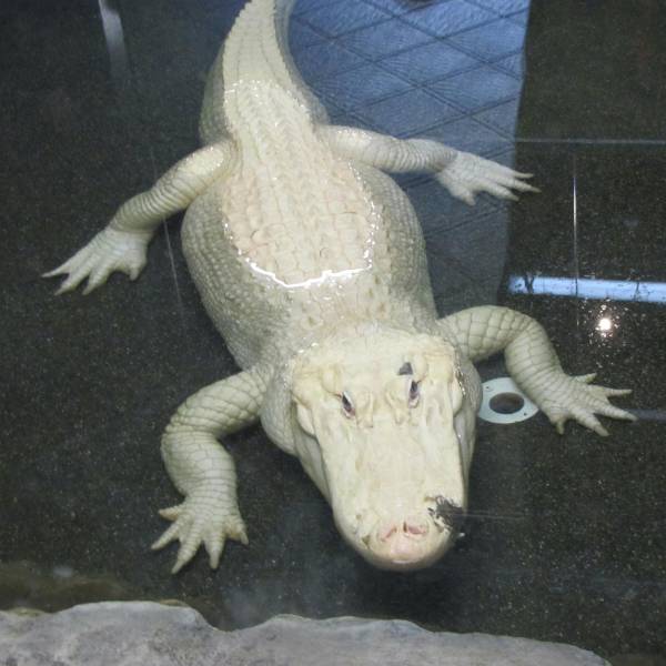 morning picdump 52 pics 14.html - 52 HD Photos | Premium Gallery 2017