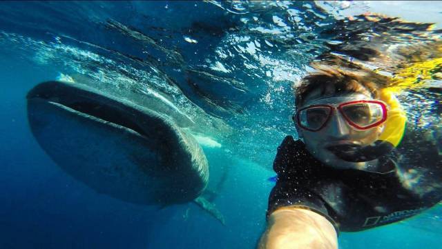 Daily Picdump [WEEKEND EDITION]