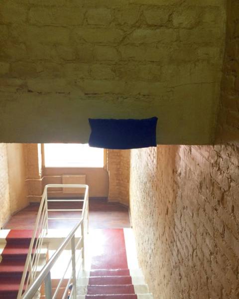 Daily Picdump [WEEKEND EDITION]