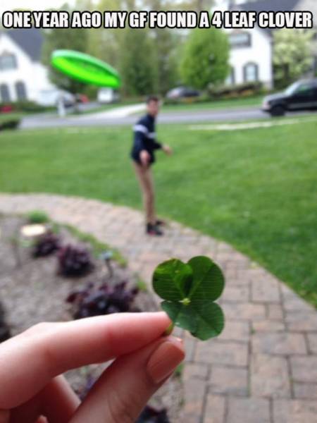 Daily Picdump [WEEKEND EDITION]