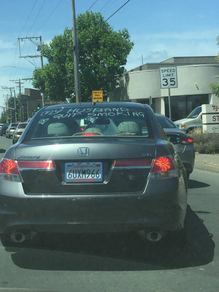 daily picdump weekend edition 53 pics 17.html - 53 HD Photos | Premium Gallery 2017