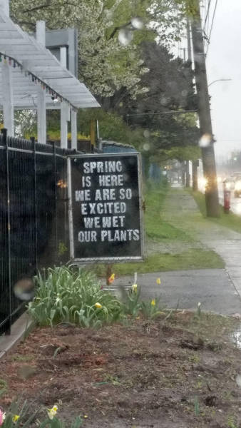 daily picdump weekend edition 53 pics 17.html - 53 HD Photos | Premium Gallery 2017