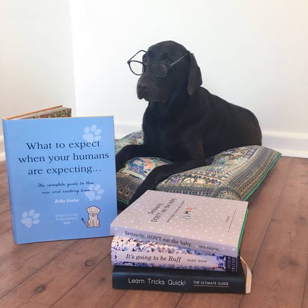 daily picdump weekend edition 53 pics 17.html - 53 HD Photos | Premium Gallery 2017