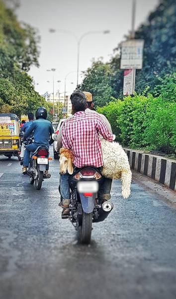 daily picdump weekend edition 53 pics 17.html - 53 HD Photos | Premium Gallery 2017