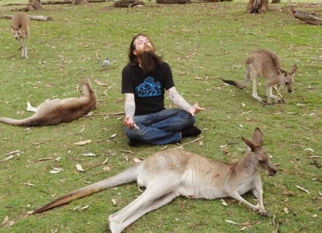 daily picdump 97 pics 36.html - 97 HD Photos | Premium Gallery 2017