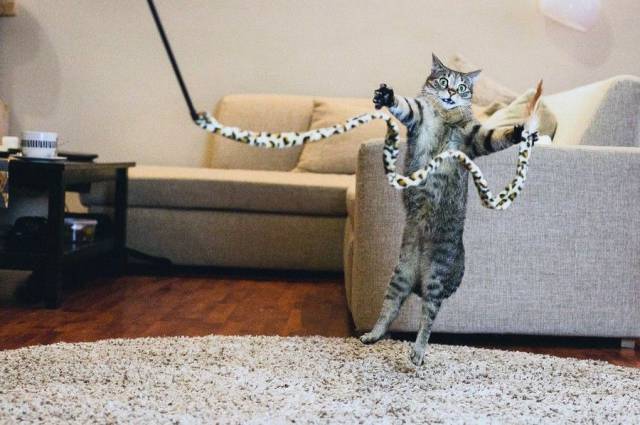 daily picdump 97 pics 36.html - 97 HD Photos | Premium Gallery 2017