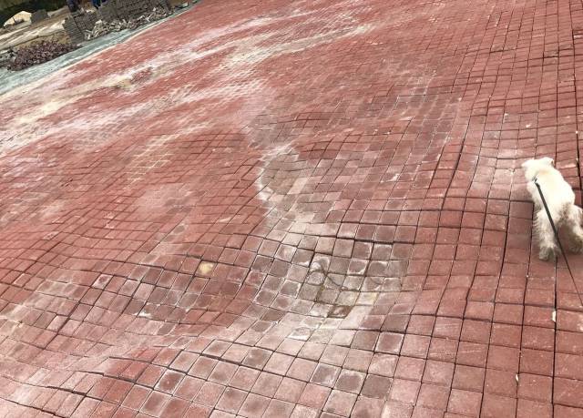 daily picdump 97 pics 36.html - 97 HD Photos | Premium Gallery 2017