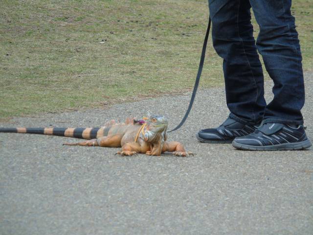 daily picdump 97 pics 36.html - 97 HD Photos | Premium Gallery 2017