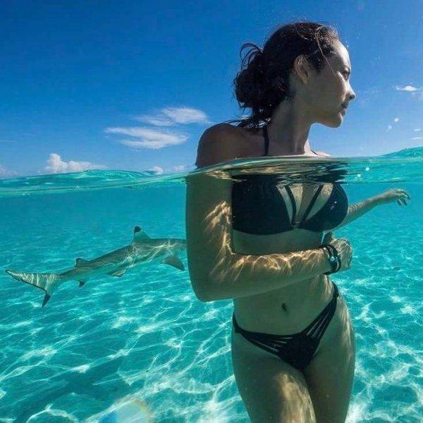 daily picdump 97 pics 36.html - 97 HD Photos | Premium Gallery 2017