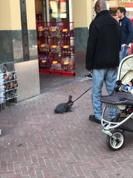 daily picdump 94 pics 37.html - 94 HD Photos | Premium Gallery 2017