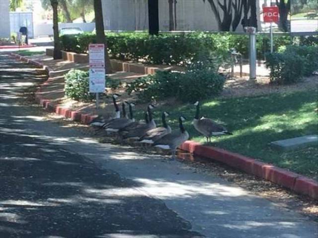 daily picdump 94 pics 37.html - 94 HD Photos | Premium Gallery 2017