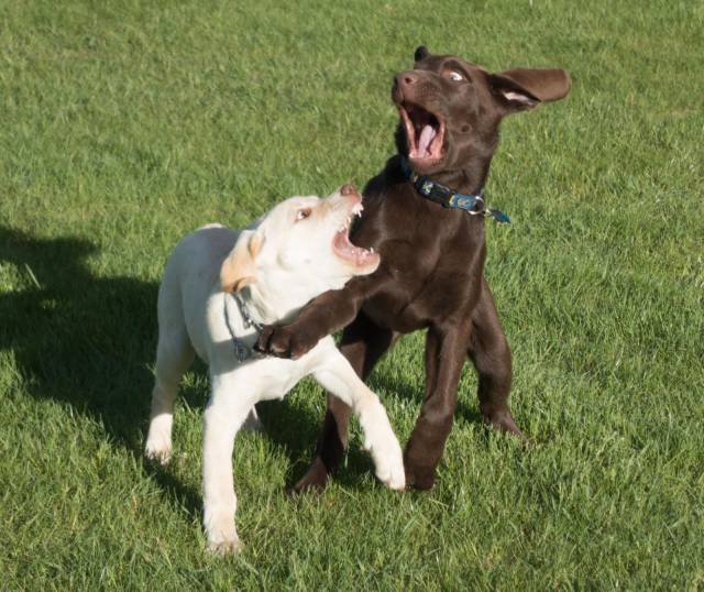 daily picdump 94 pics 37.html - 94 HD Photos | Premium Gallery 2017