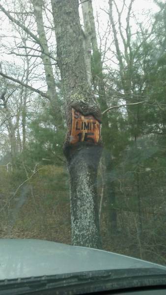 daily picdump 94 pics 37.html - 94 HD Photos | Premium Gallery 2017