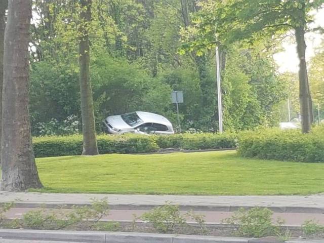 daily picdump 94 pics 37.html - 94 HD Photos | Premium Gallery 2017