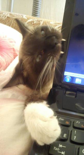 daily picdump 94 pics 37.html - 94 HD Photos | Premium Gallery 2017