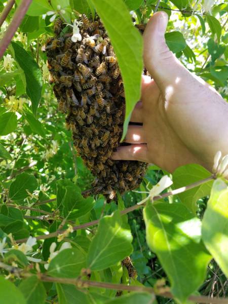 daily picdump 94 pics 37.html - 94 HD Photos | Premium Gallery 2017