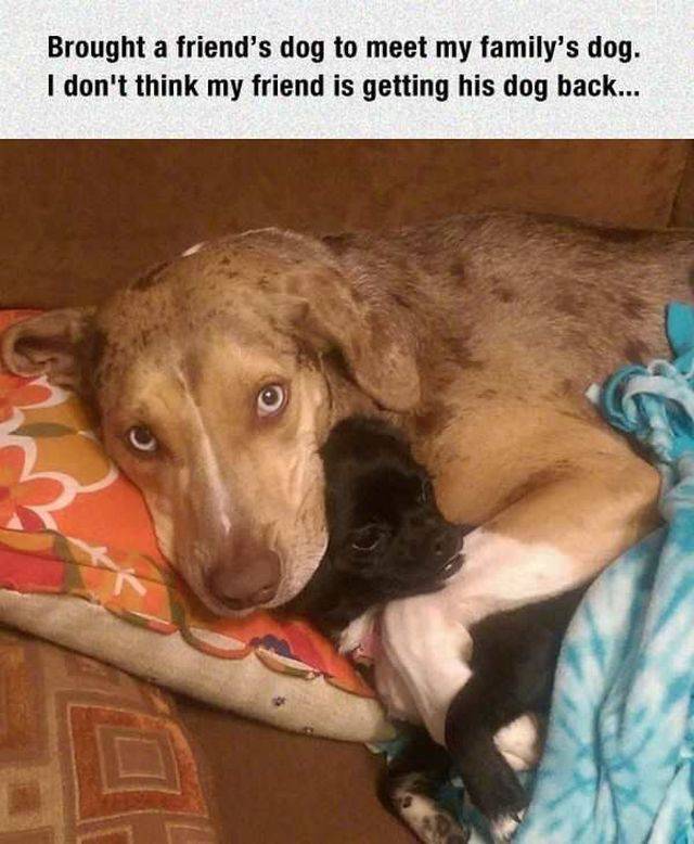 daily picdump 94 pics 37.html - 94 HD Photos | Premium Gallery 2017