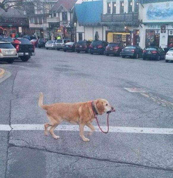 daily picdump 98 pics 24.html - 98 HD Photos | Premium Gallery 2017