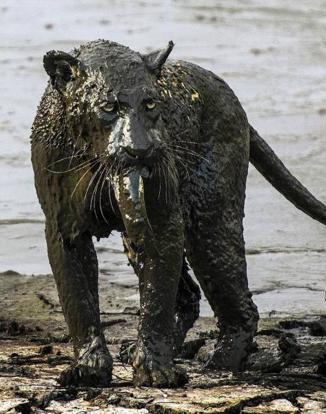 daily picdump 98 pics 24.html - 98 HD Photos | Premium Gallery 2017