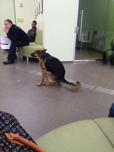 daily picdump 98 pics 24.html - 98 HD Photos | Premium Gallery 2017