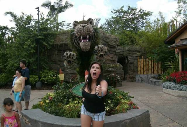 daily picdump 98 pics 24.html - 98 HD Photos | Premium Gallery 2017