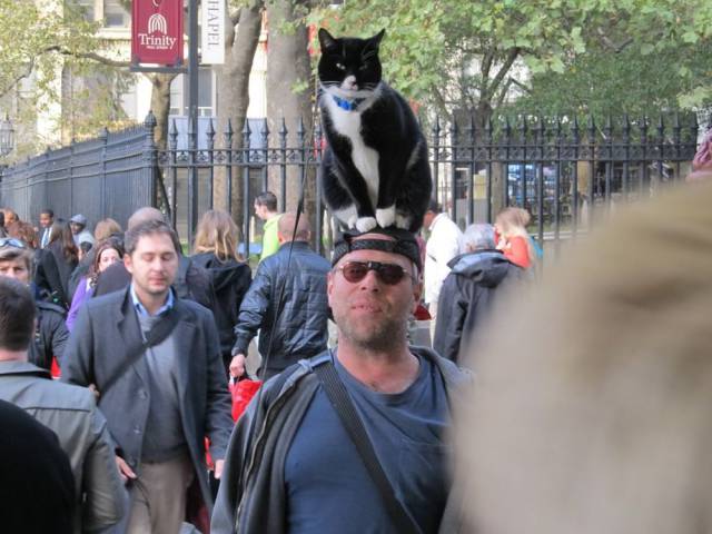 daily picdump 98 pics 24.html - 98 HD Photos | Premium Gallery 2017