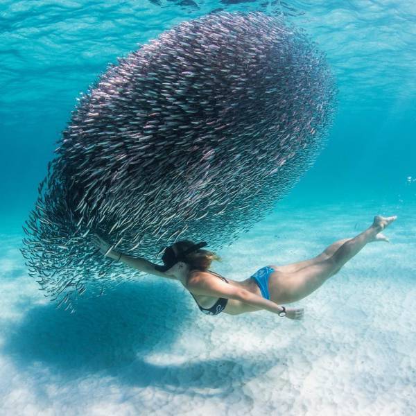 daily picdump 98 pics 24.html - 98 HD Photos | Premium Gallery 2017