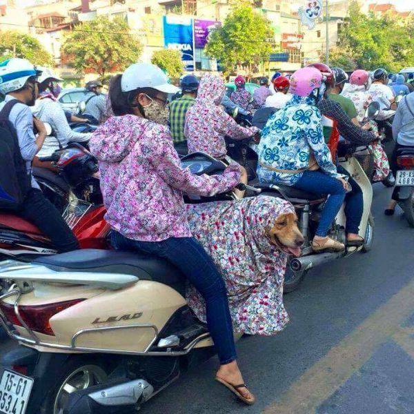 morning picdump 53 pics 13.html - 53 HD Photos | Premium Gallery 2017