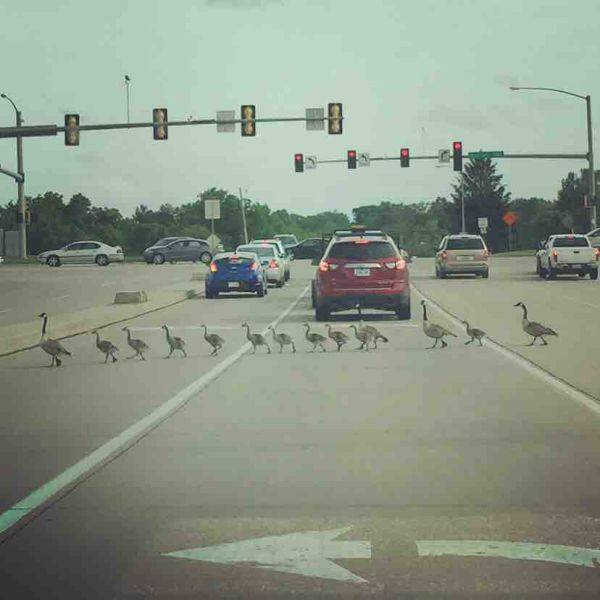 morning picdump 53 pics 13.html - 53 HD Photos | Premium Gallery 2017