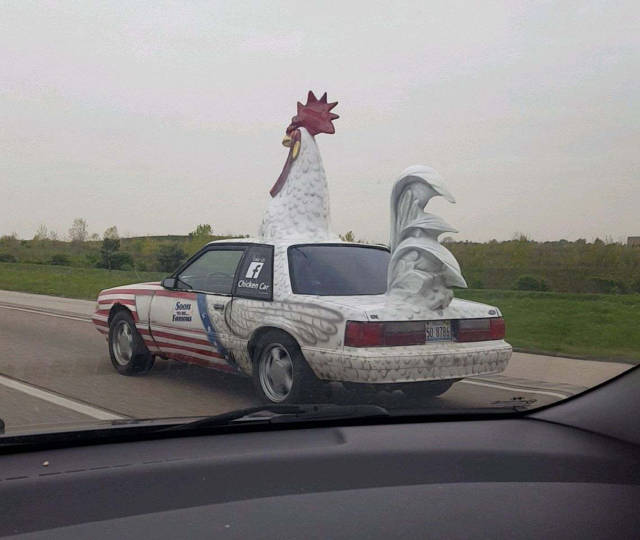 morning picdump 53 pics 13.html - 53 HD Photos | Premium Gallery 2017